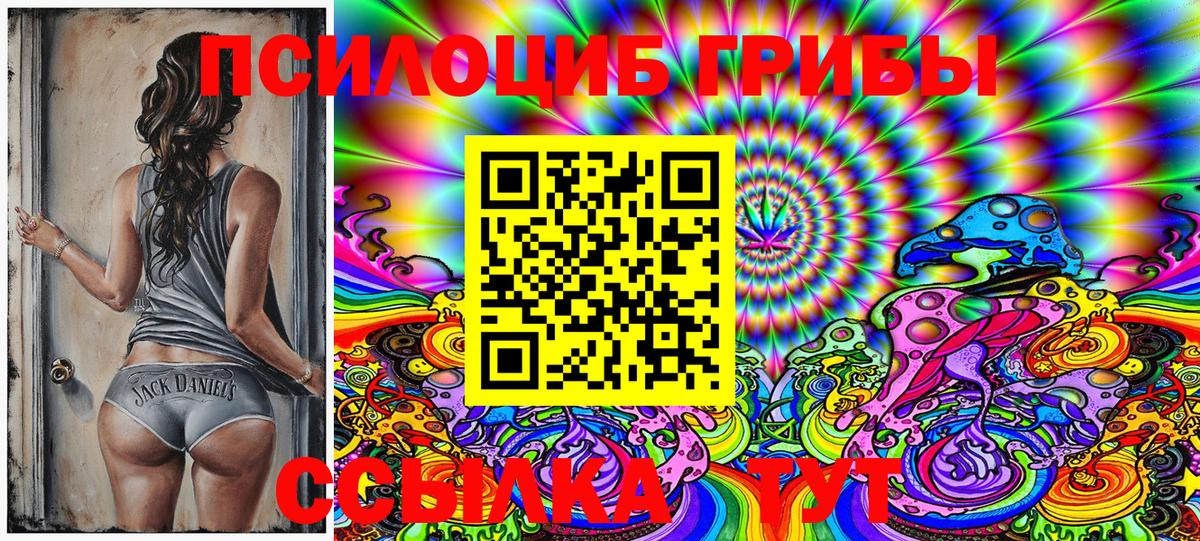 Татарск  Псилоцибиновые грибы MAGIC MUSHROOMS  Псилоцибиновые грибы ЛСД  Вход с VPN 
